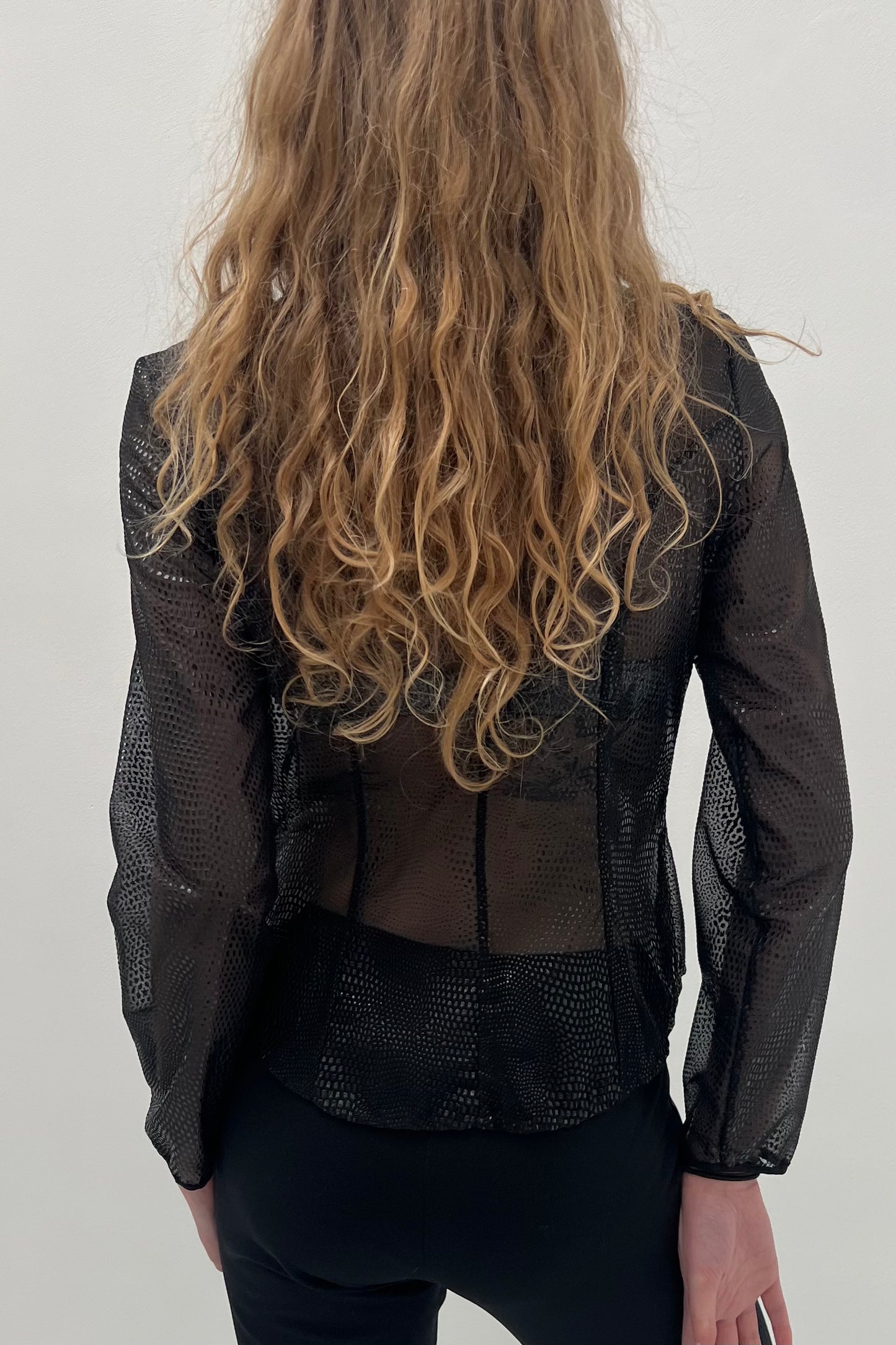 Vintage See Through Snake Printed Blouse