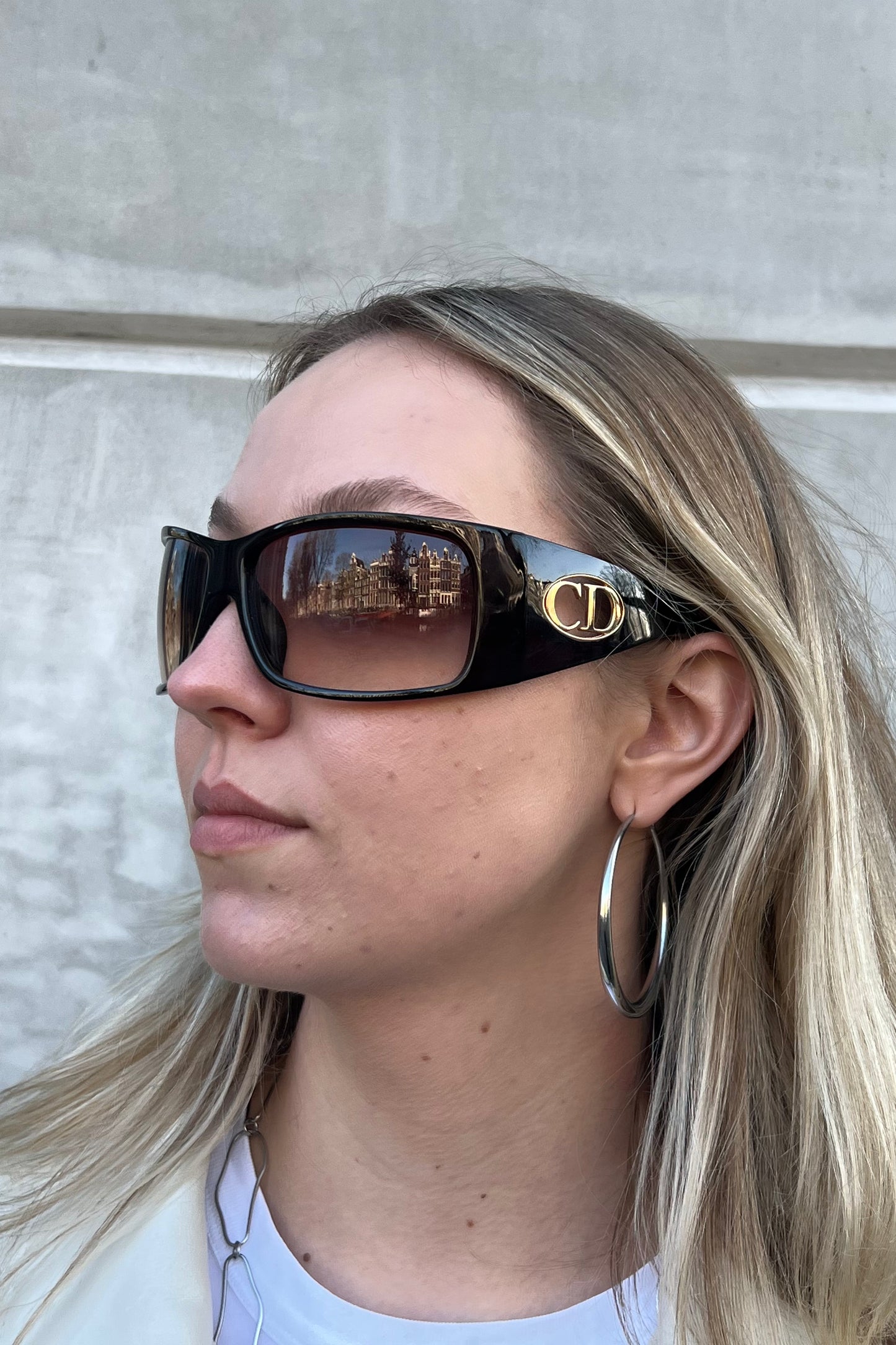 Vintage Flavour 1 Brown Sunglasses