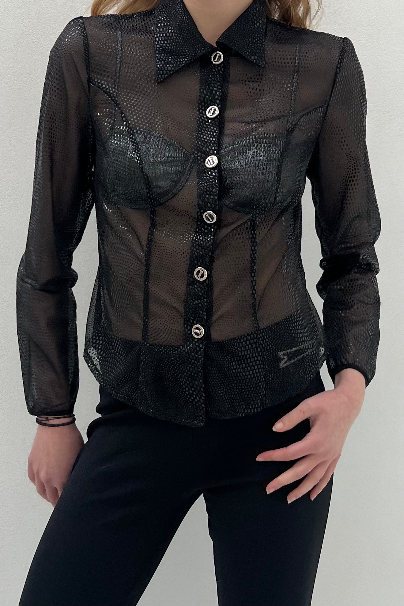 Vintage See Through Snake Printed Blouse