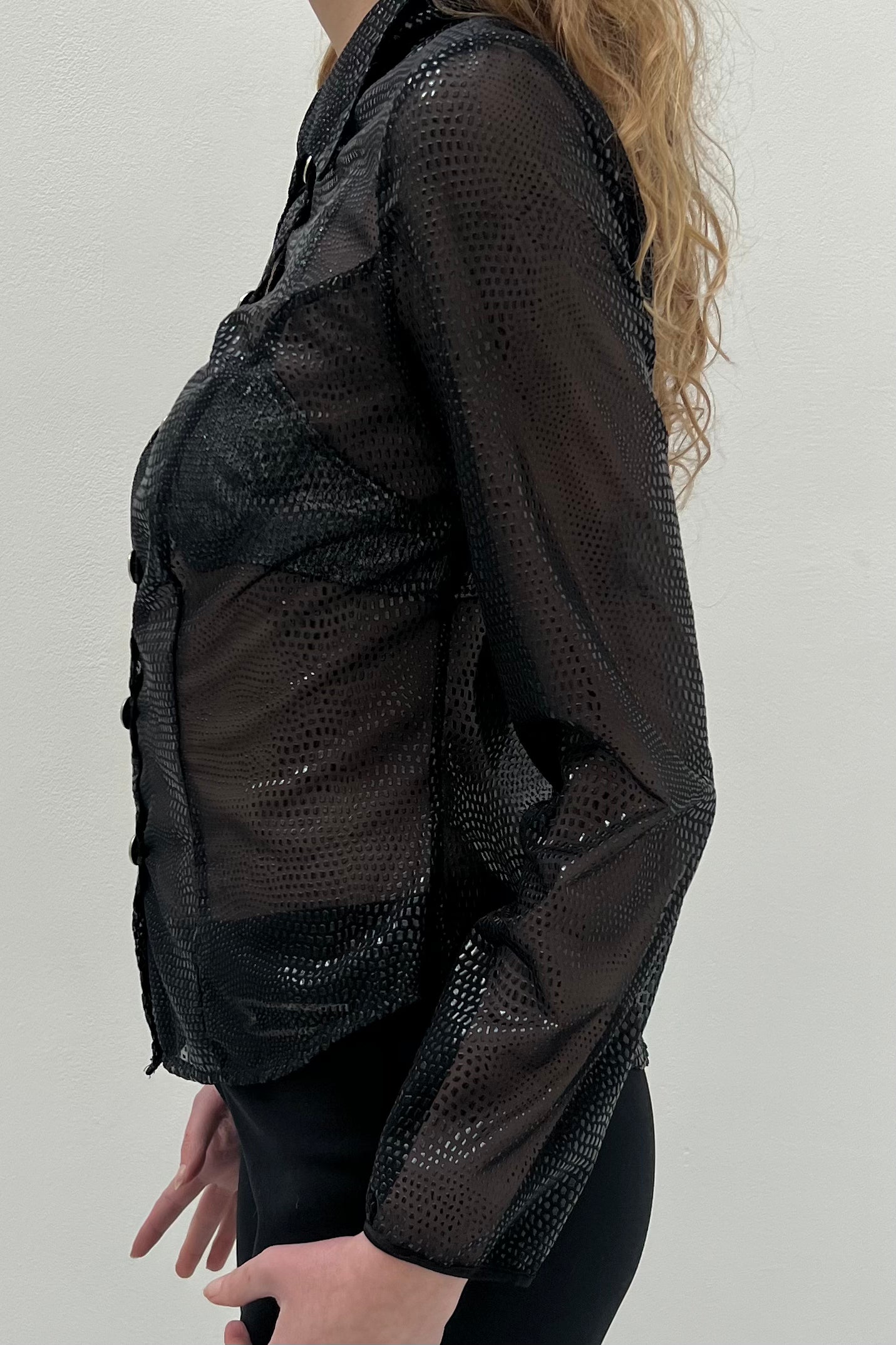 Vintage See Through Snake Printed Blouse