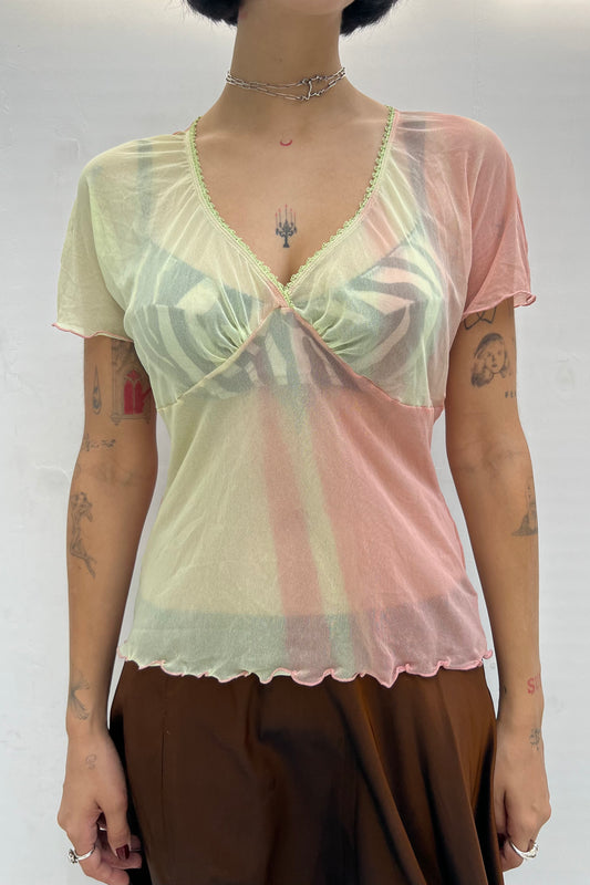 Vintage Pink and Green Mesh Top